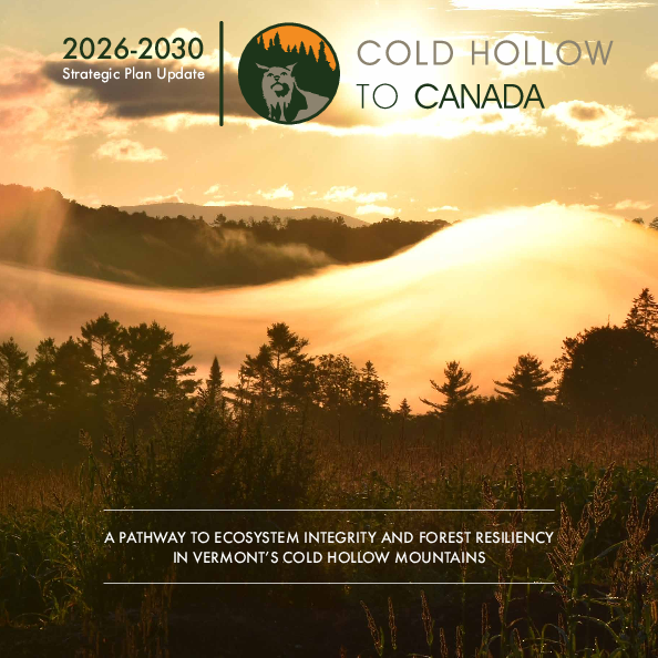 Strategic Plan Cover Strategic Plan Cover